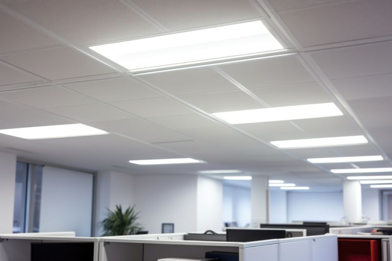 Ceiling Remodeling
